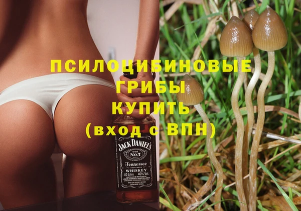 экстази Гусь-Хрустальный